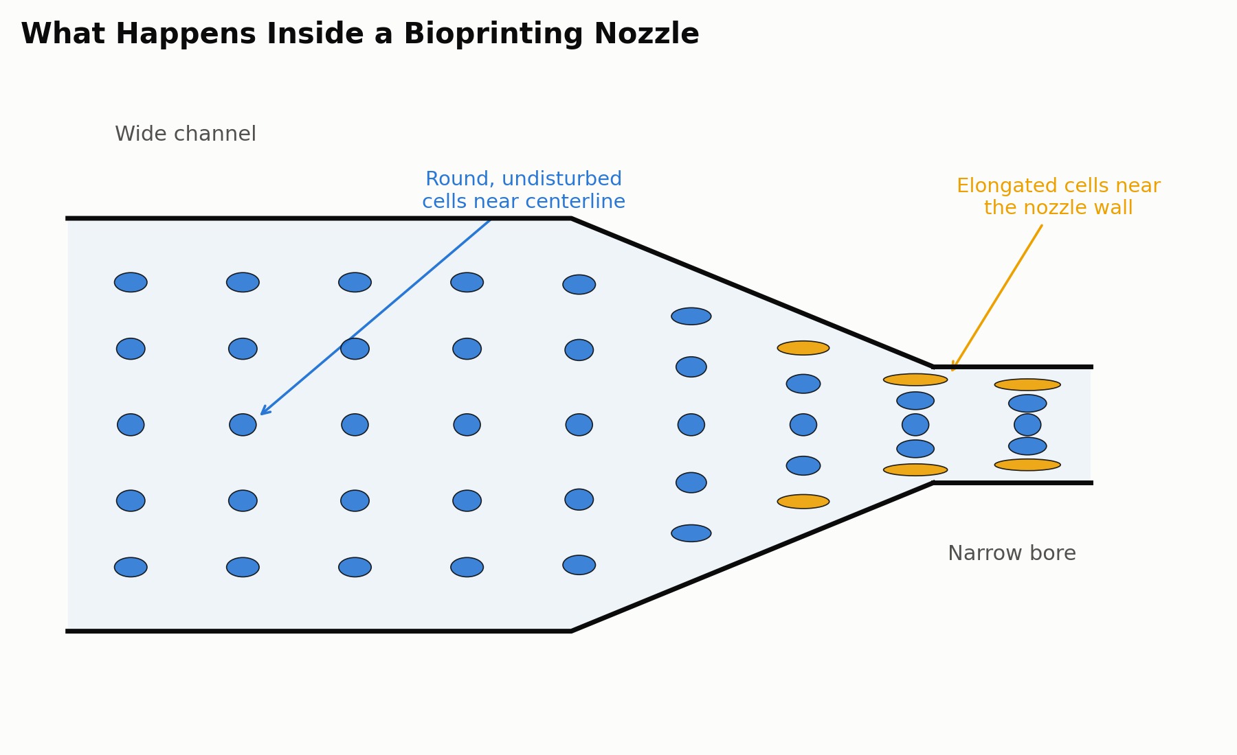 Schematic cross-section of a bioprinting nozzle showing a converging channel with cells flowing through it, round and undisturbed near the centerline and elongated from shear deformation near the nozzle wall