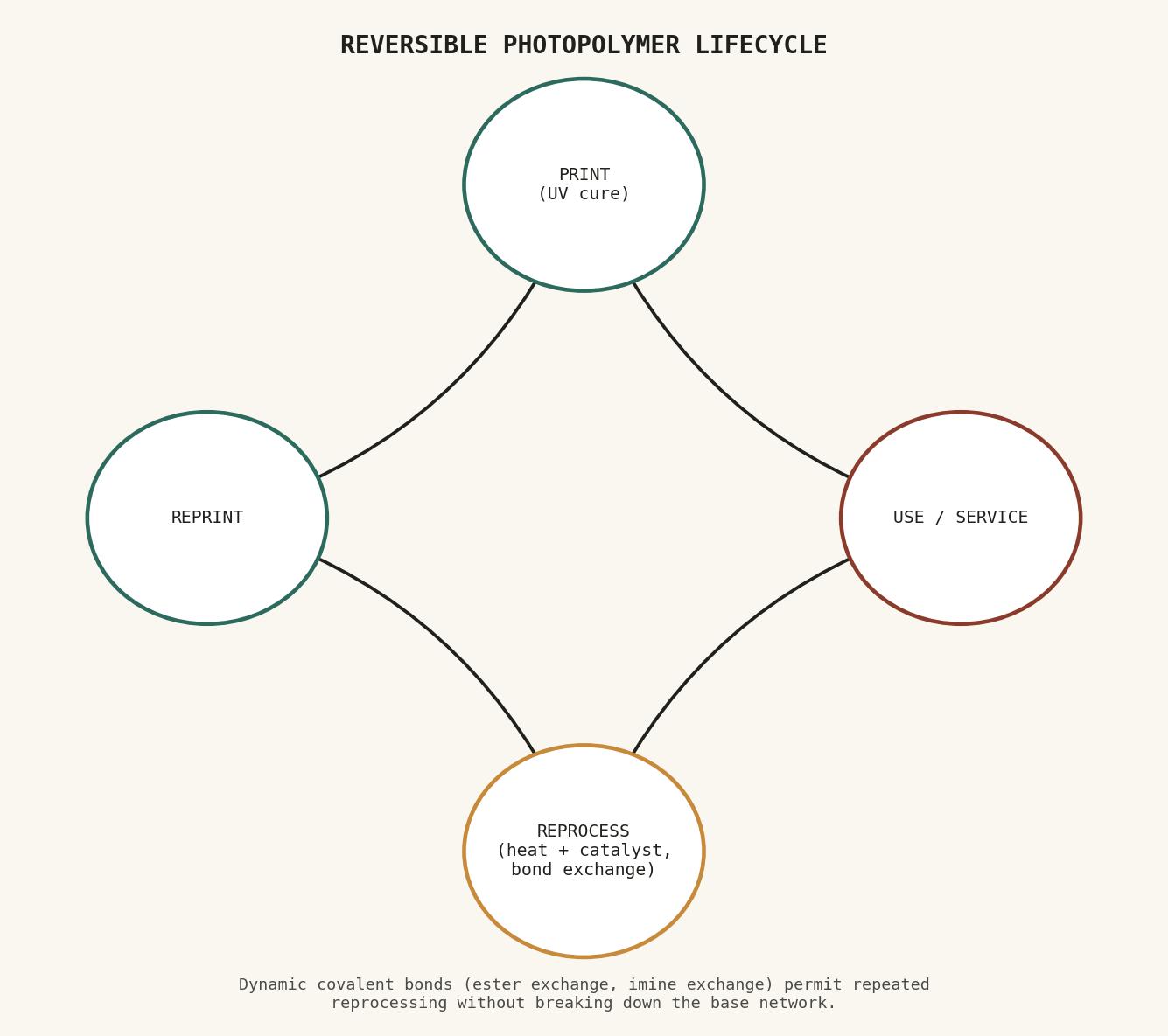 A cycle diagram showing a photopolymer part moving through print, use, reprocessing via heat or catalysis, and reprinting, annotated with the dynamic bond types enabling each stage.